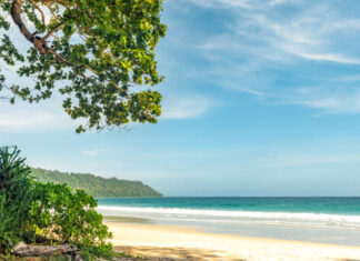 Slow Days, Blue Waters: Rediscovering Life in the Andamans andaman holiday package